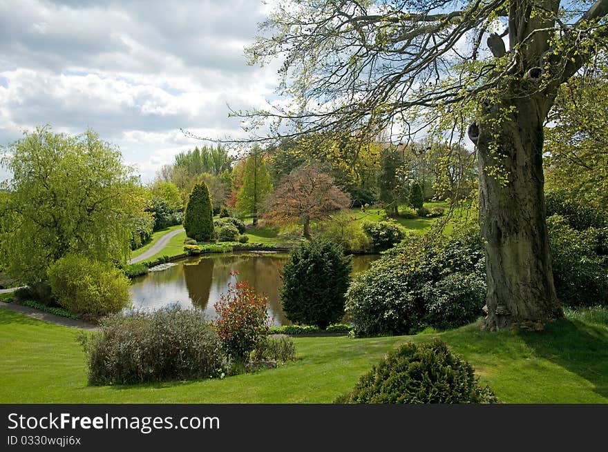 Landscape of the garden