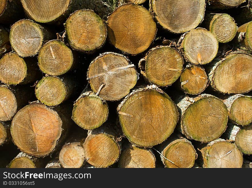 Logs