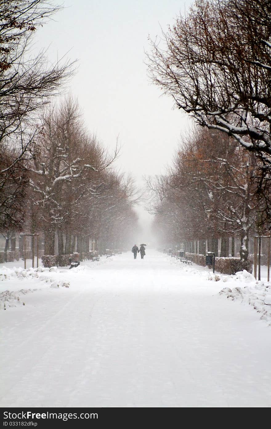 Couple In Snow Storm