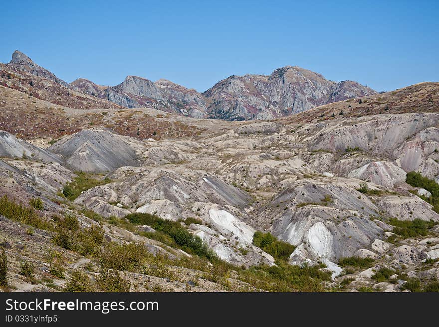 Blast zone of Mt. Saint Helens