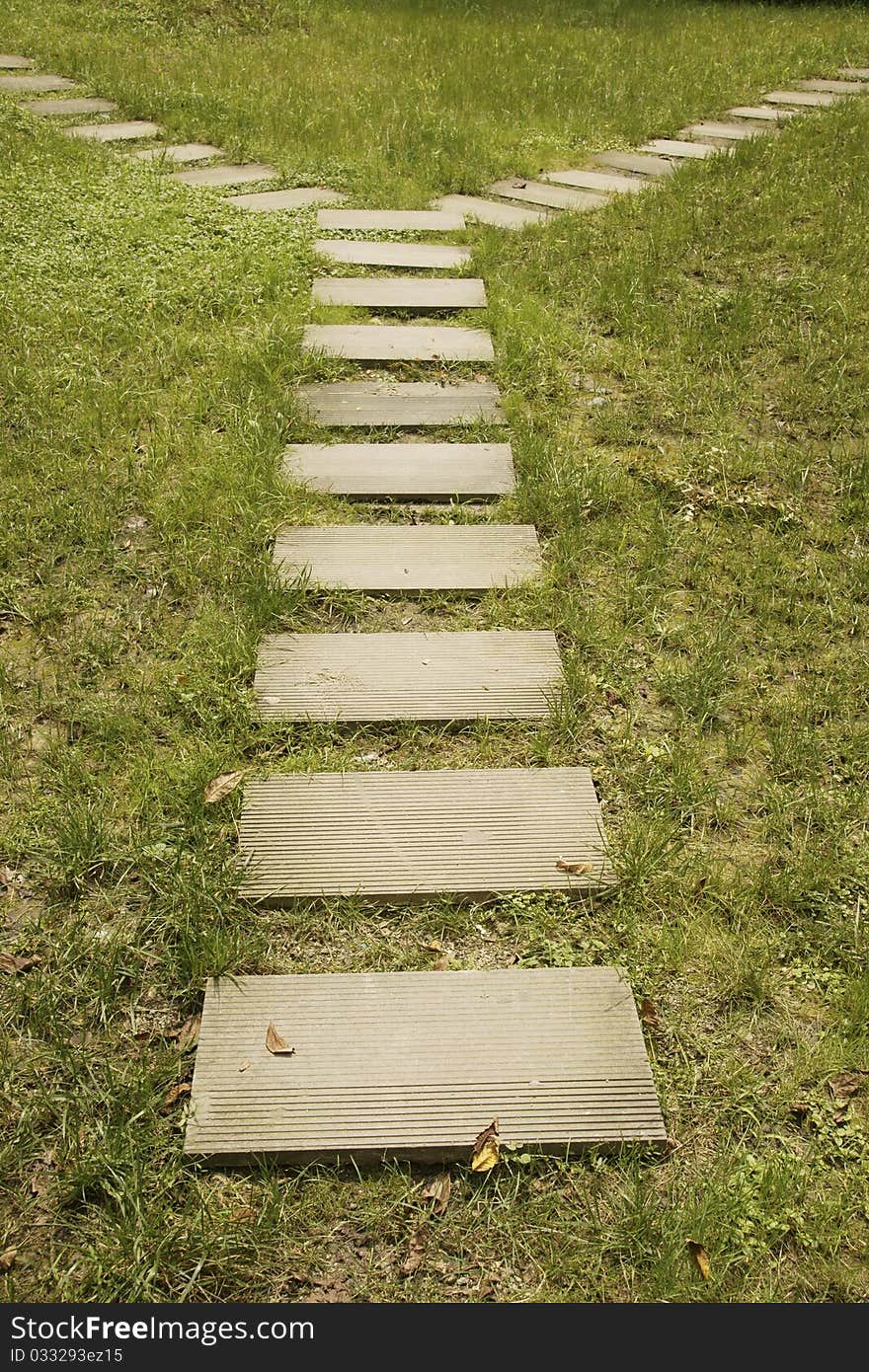 Flagging walk in meadow