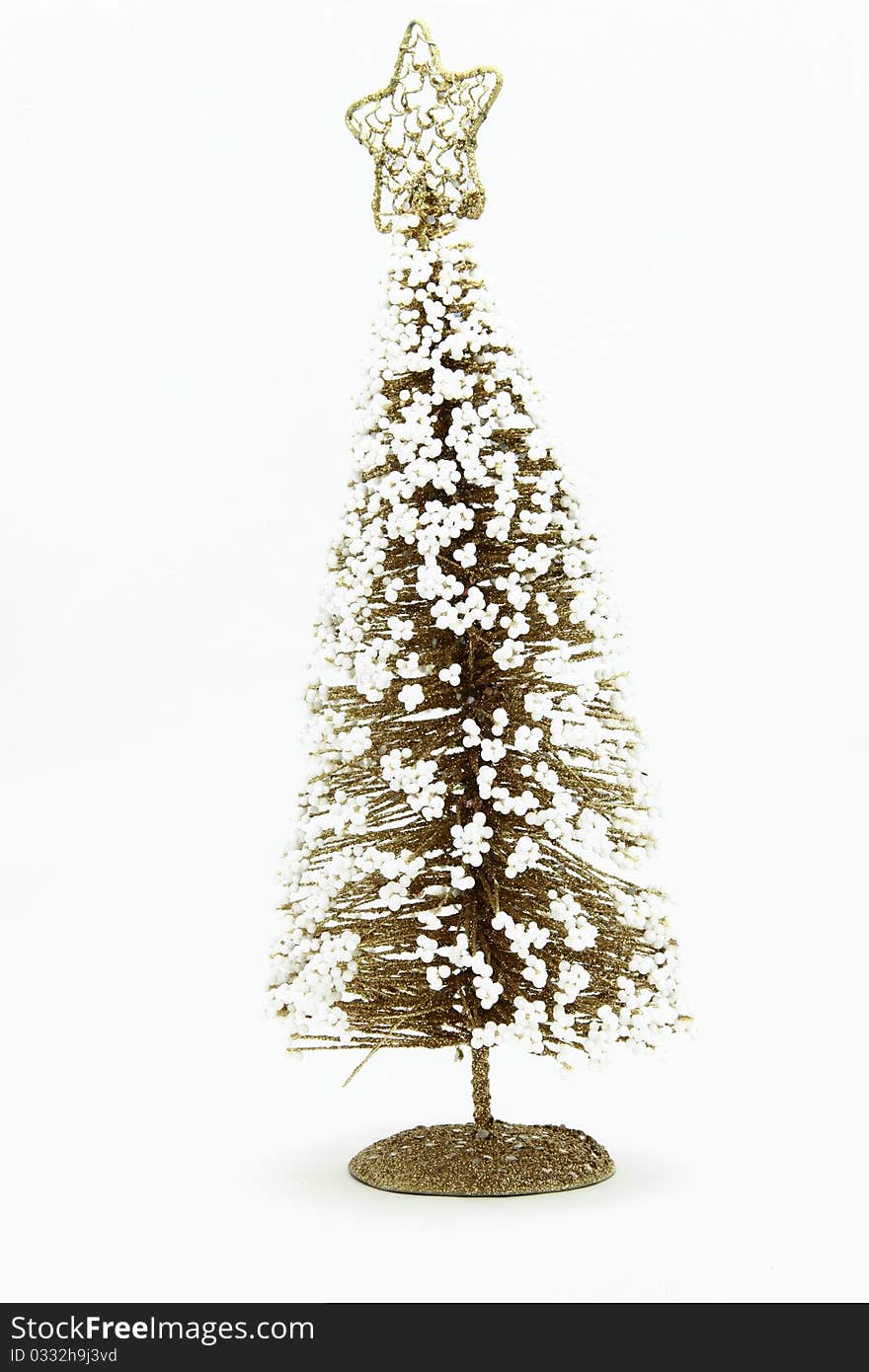 Isolated of Christmas pine tree with snow