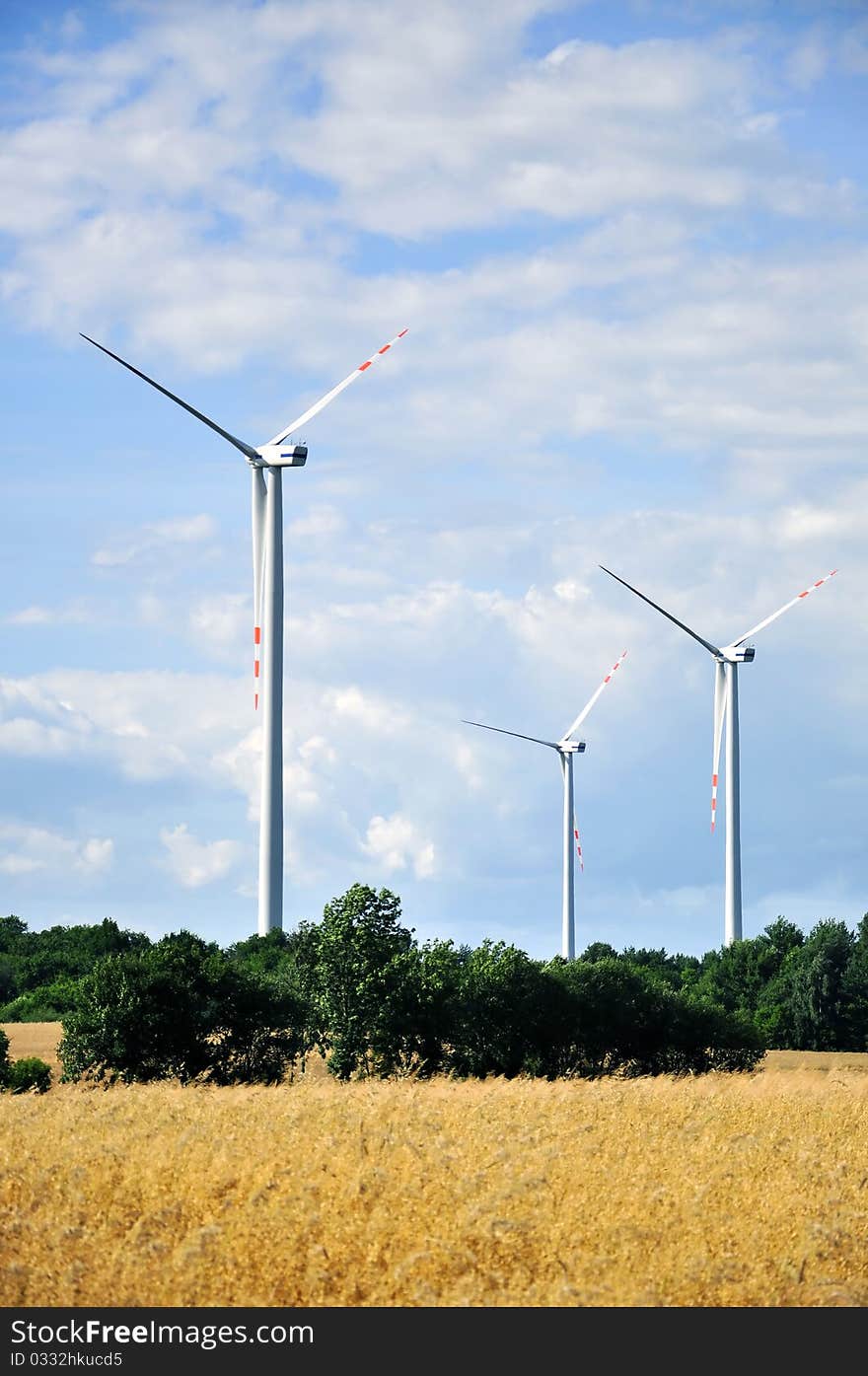 Wheat Field And Wind Turbines