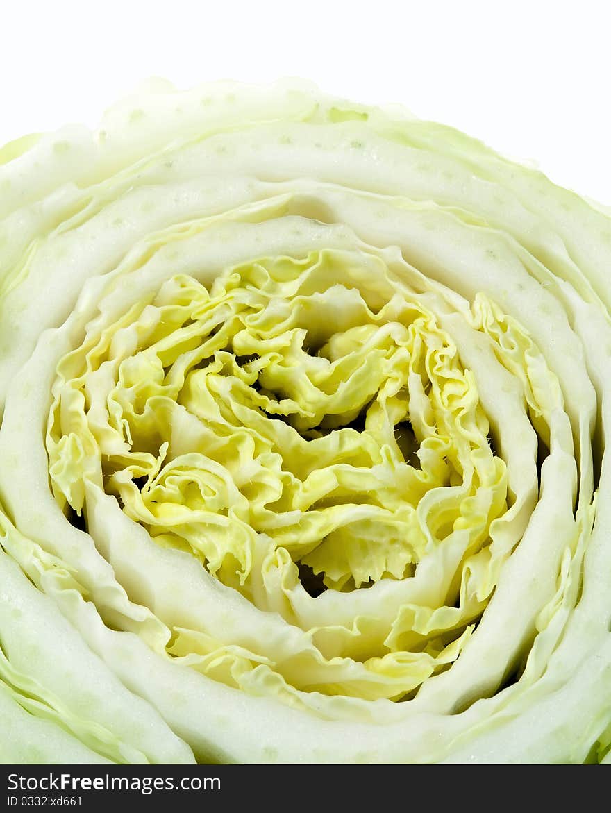 Cut the cabbage in a white background. Cut the cabbage in a white background