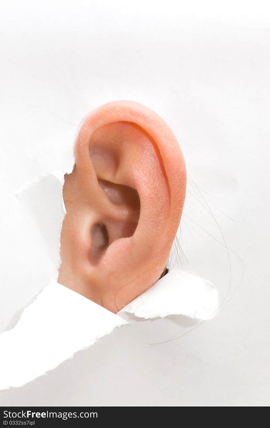 Woman ear peeping out from white torn paper