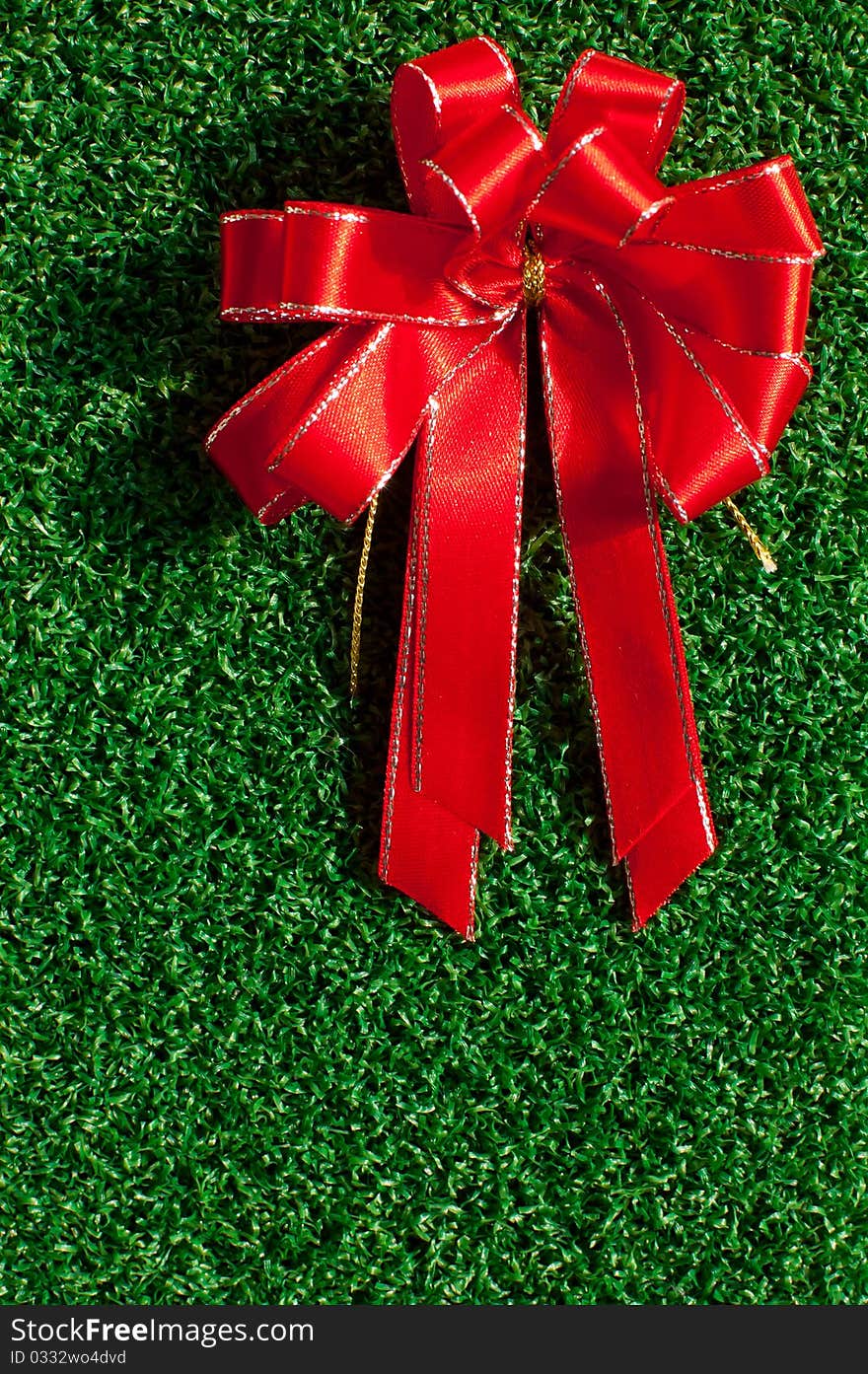 Red Bow on green grass background