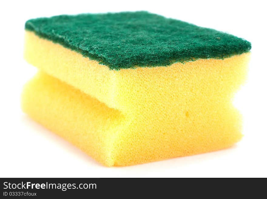 Yellow sponge