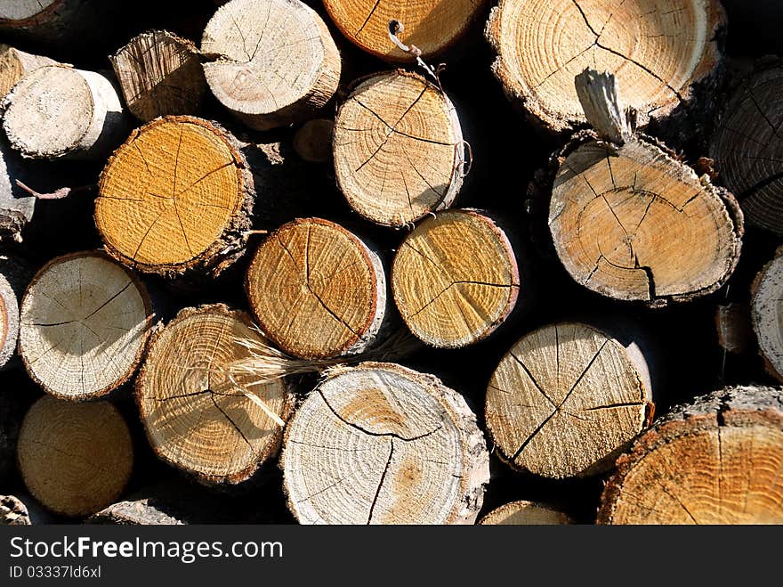 Pile of wood for heating in Piedmont. Pile of wood for heating in Piedmont