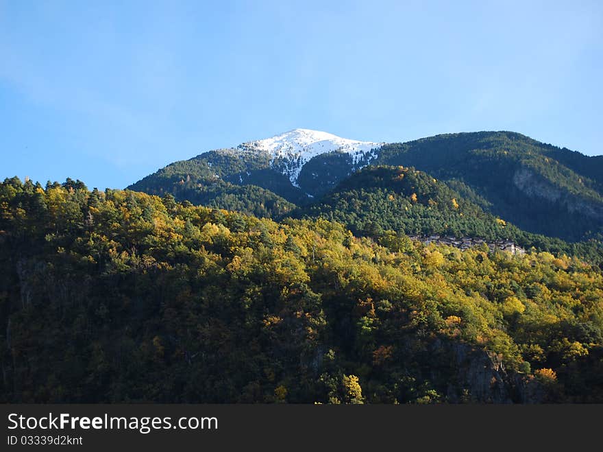 A forest in the middle of autumn and a beautiful mountain with snowy peak behind. A forest in the middle of autumn and a beautiful mountain with snowy peak behind