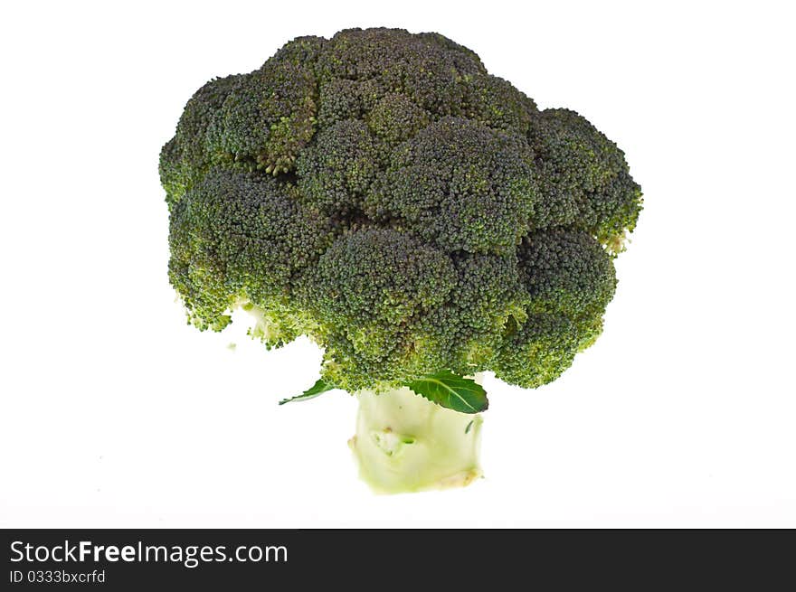 Broccoli on white background isolated