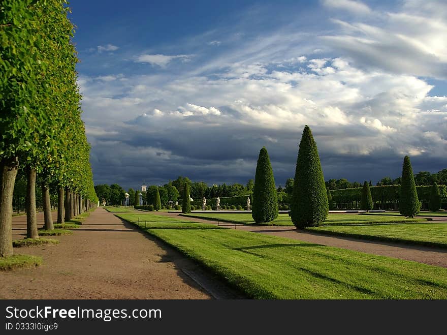 Sunny park landscape with colorful sky. Sunny park landscape with colorful sky