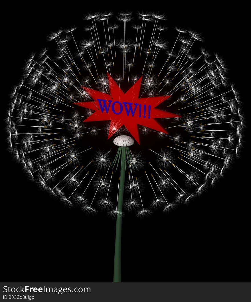 A isolated exploding dandelion with red label. A isolated exploding dandelion with red label