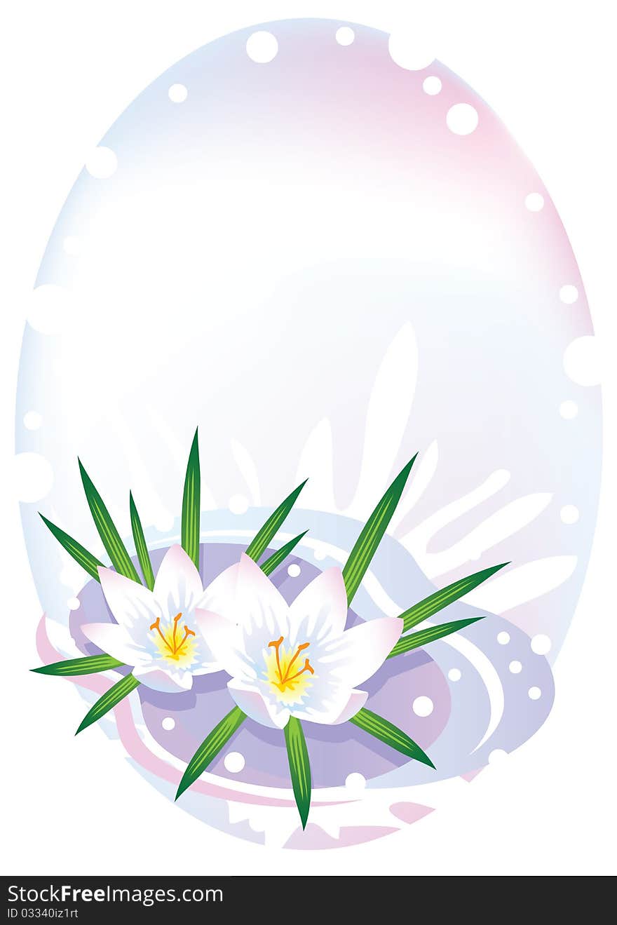 Bright oval frame with crocuses and snow. Vector illustration.