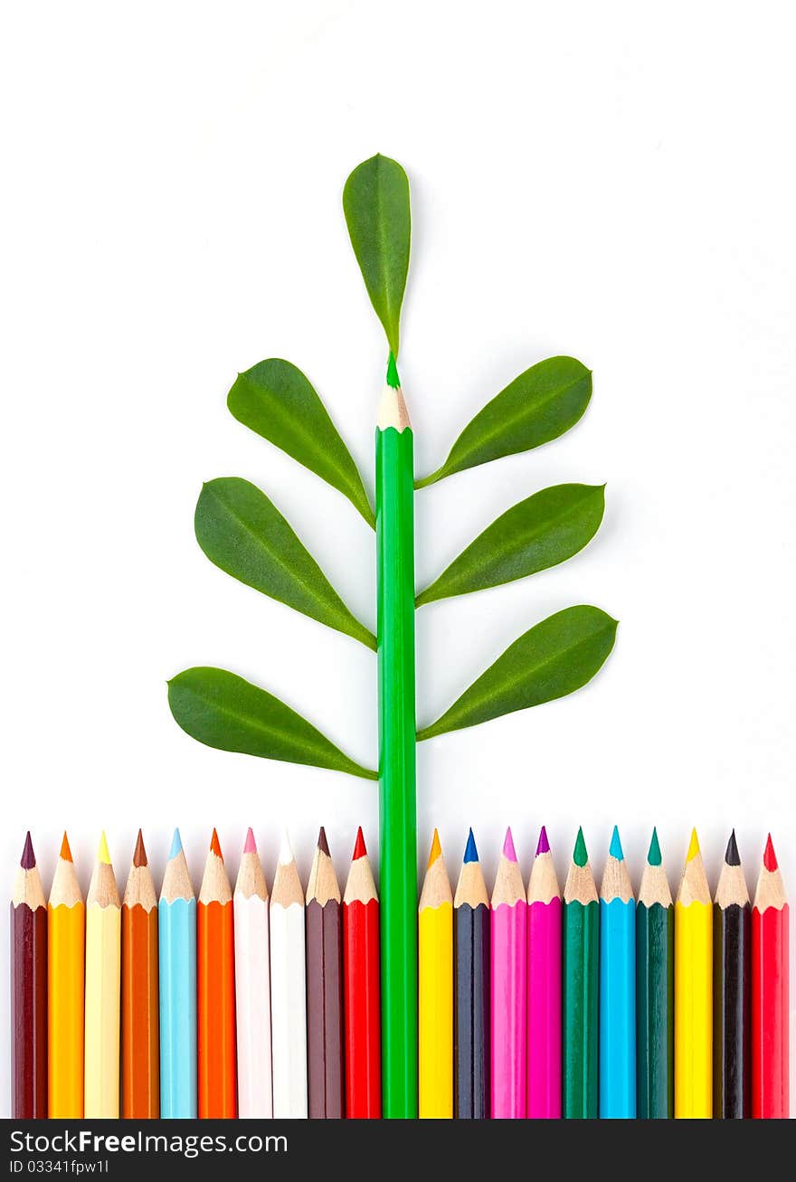 Color pencils with leaves on a white background