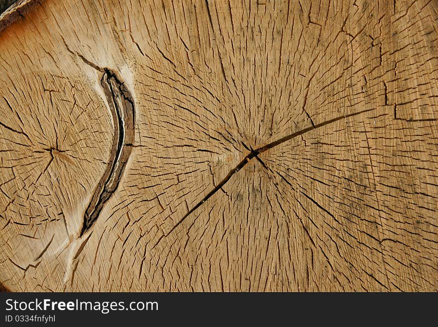 Wood texture closeup, natural  background , ecology material,. Wood texture closeup, natural  background , ecology material,