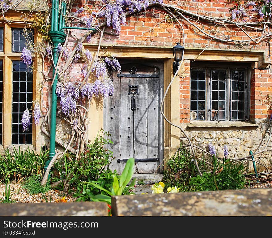 Old Wooden door to a Traditional English Village Cottage with Climbing Wisteria on the Wall. Old Wooden door to a Traditional English Village Cottage with Climbing Wisteria on the Wall