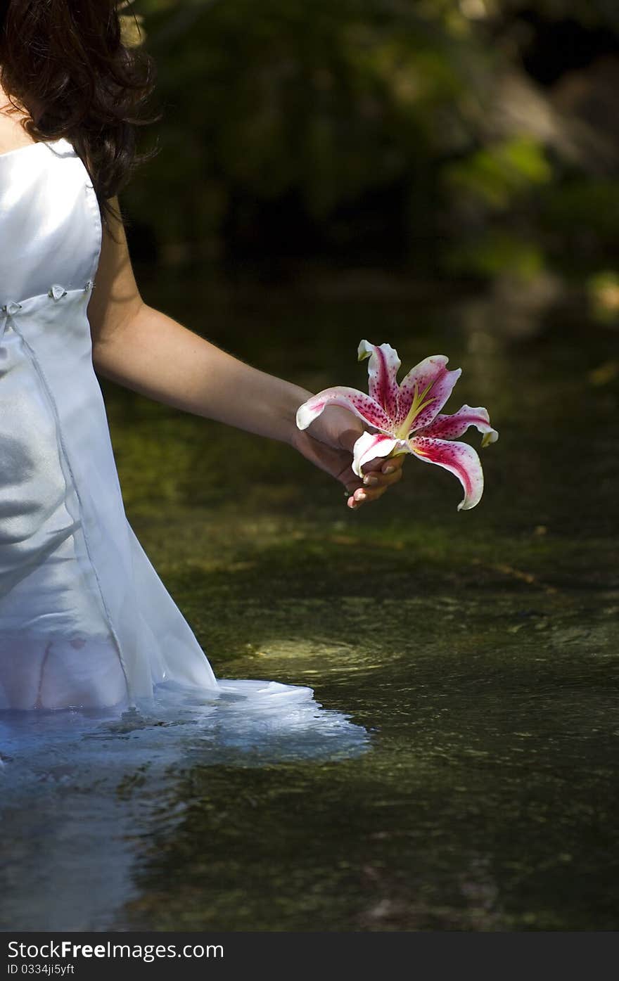 Young woman in white dress walking through river with flower. Young woman in white dress walking through river with flower.