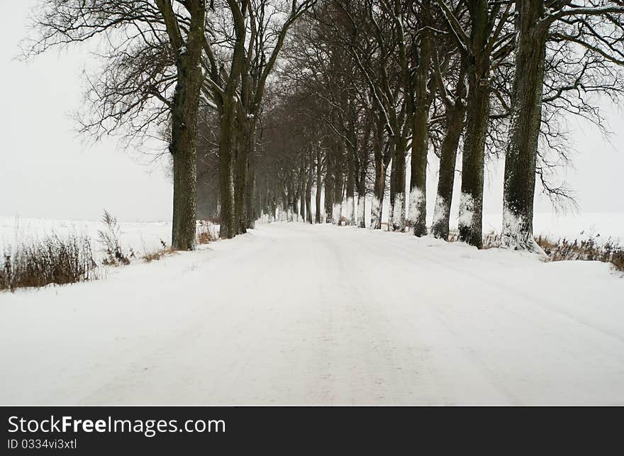 Winter Road Some where in Poland; High contrast;