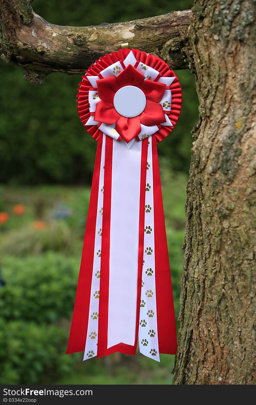 Picture of a red ribbon with paw print hanging on a branch