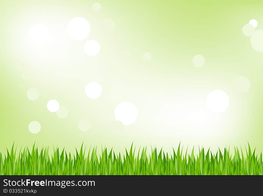 Green Grass. Vector