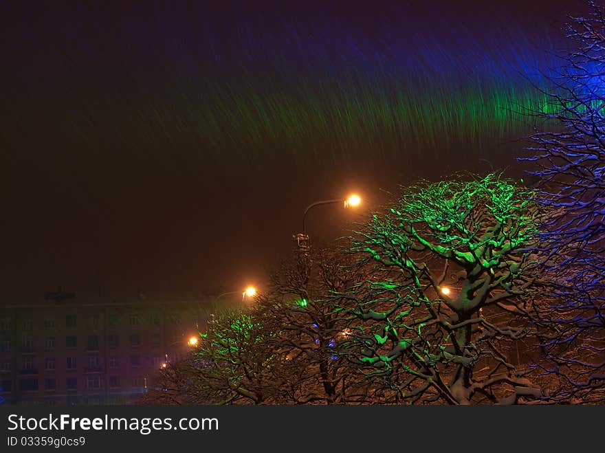 Snow-covered trees with color illumination at night in winter. Snow-covered trees with color illumination at night in winter