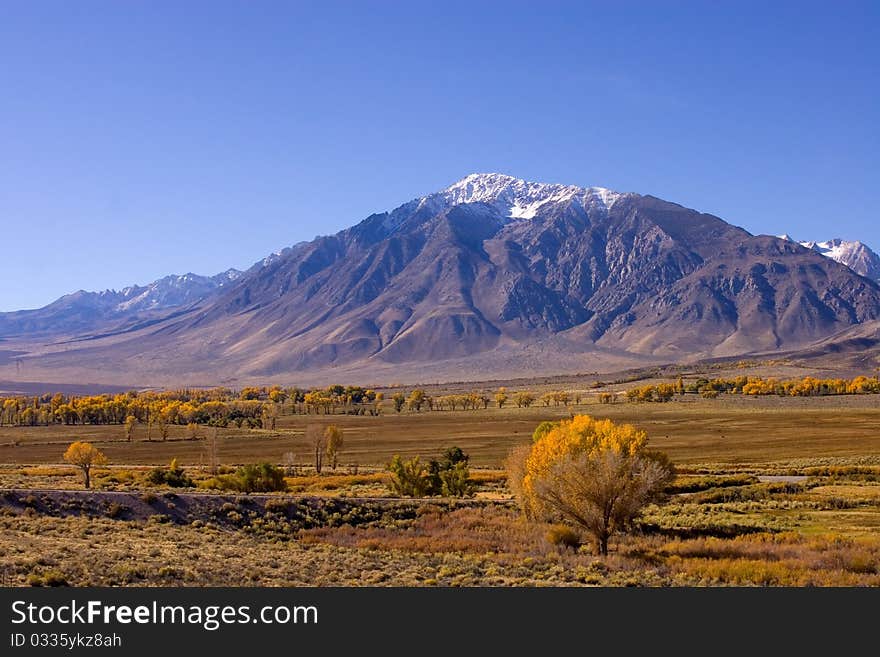 Scenic view of a Mountain