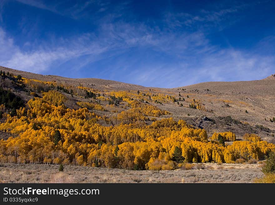 Fall Colors in the Eastern Sierra