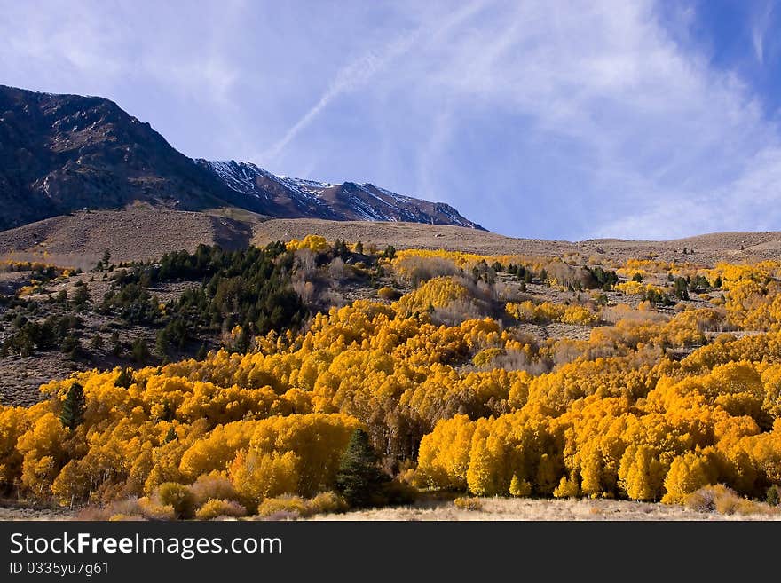 Fall Colors in the Eastern Sierra