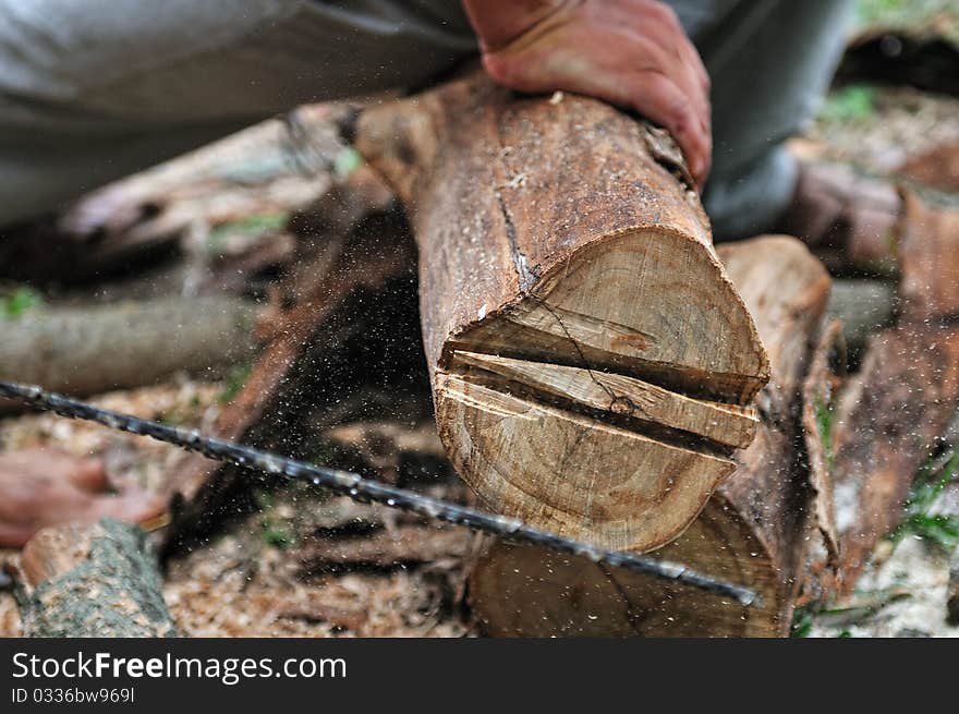 Two workers nagging the log in the garden. Two workers nagging the log in the garden.