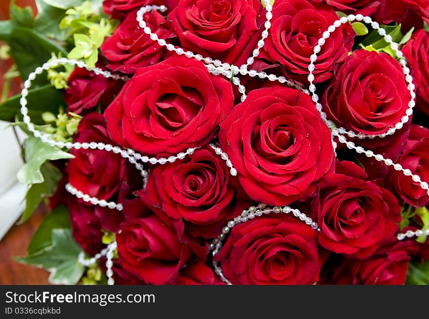 The fresh red roses background