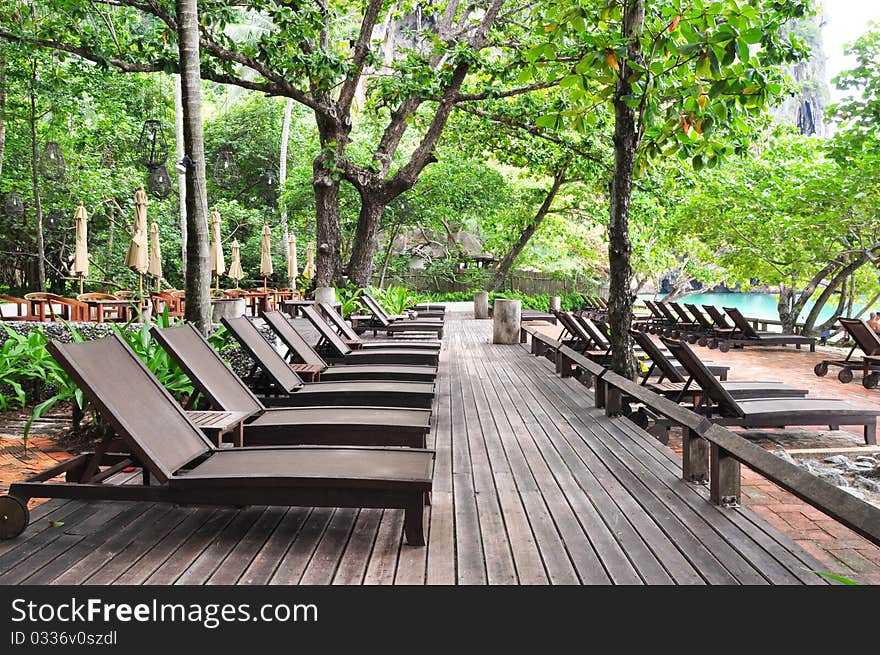 The wood beds in front of the see. The wood beds in front of the see