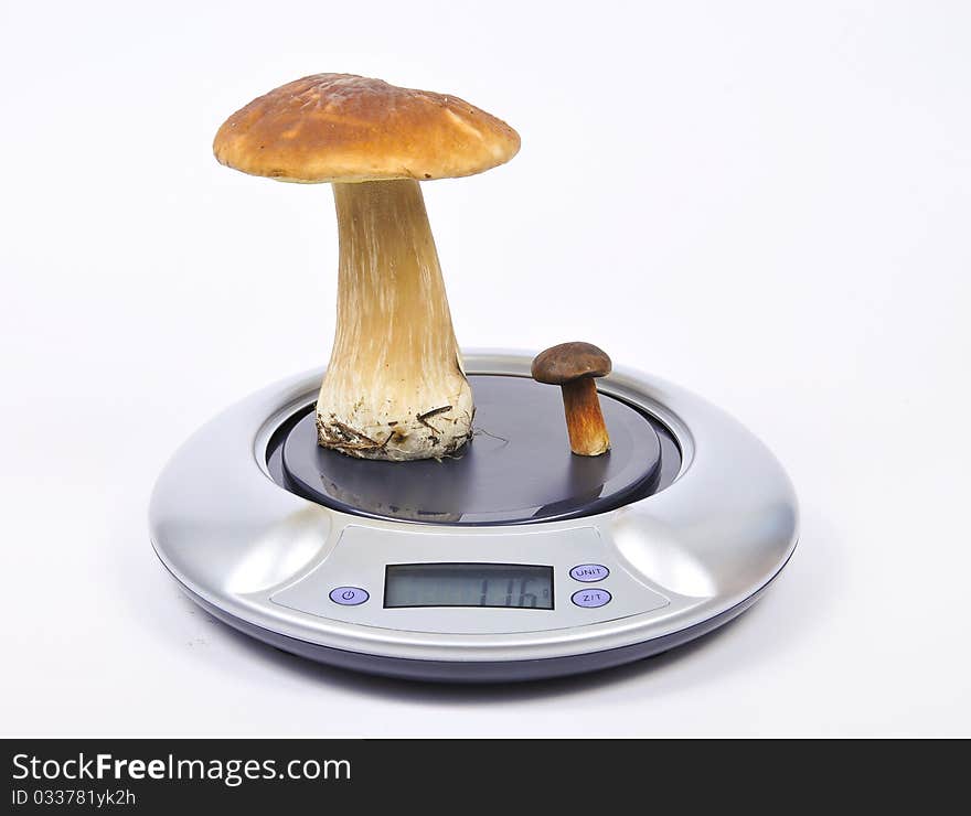 Two mushrooms standing on kitchen scales. Two mushrooms standing on kitchen scales