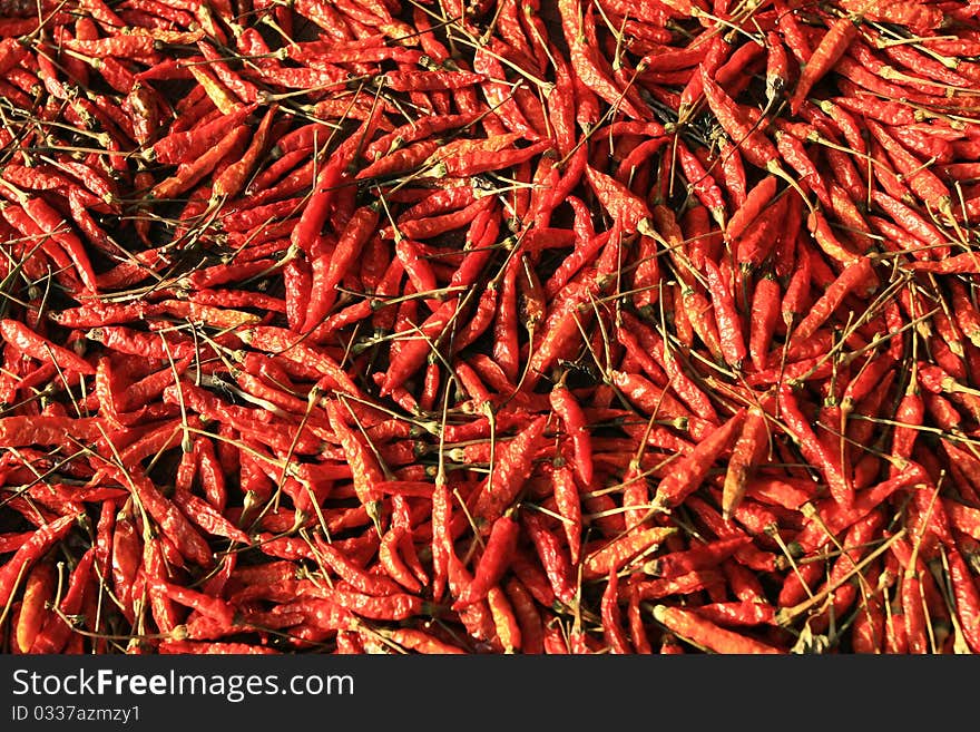 Dried red chilies