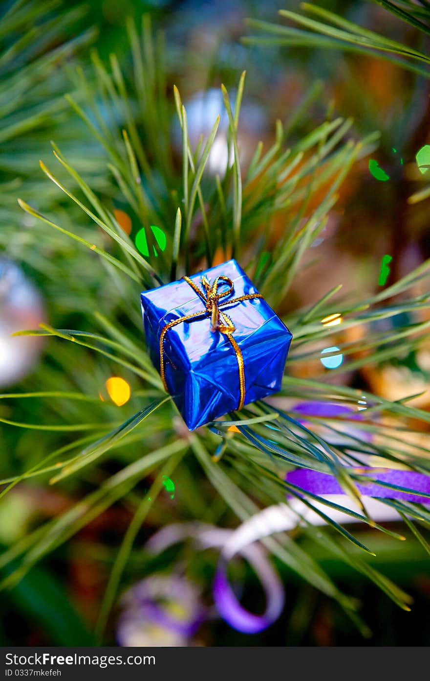 Christmas gift in the blue box near the Christmas tree