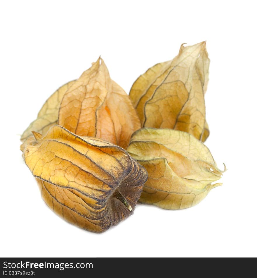 Cape Gooseberry