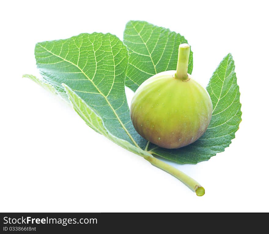 Presentation of fig and fig leaf isolated on a white background. Presentation of fig and fig leaf isolated on a white background