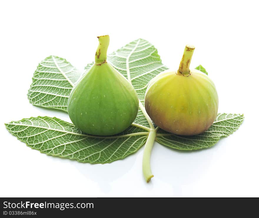 Fig and fig leaf isolated on white