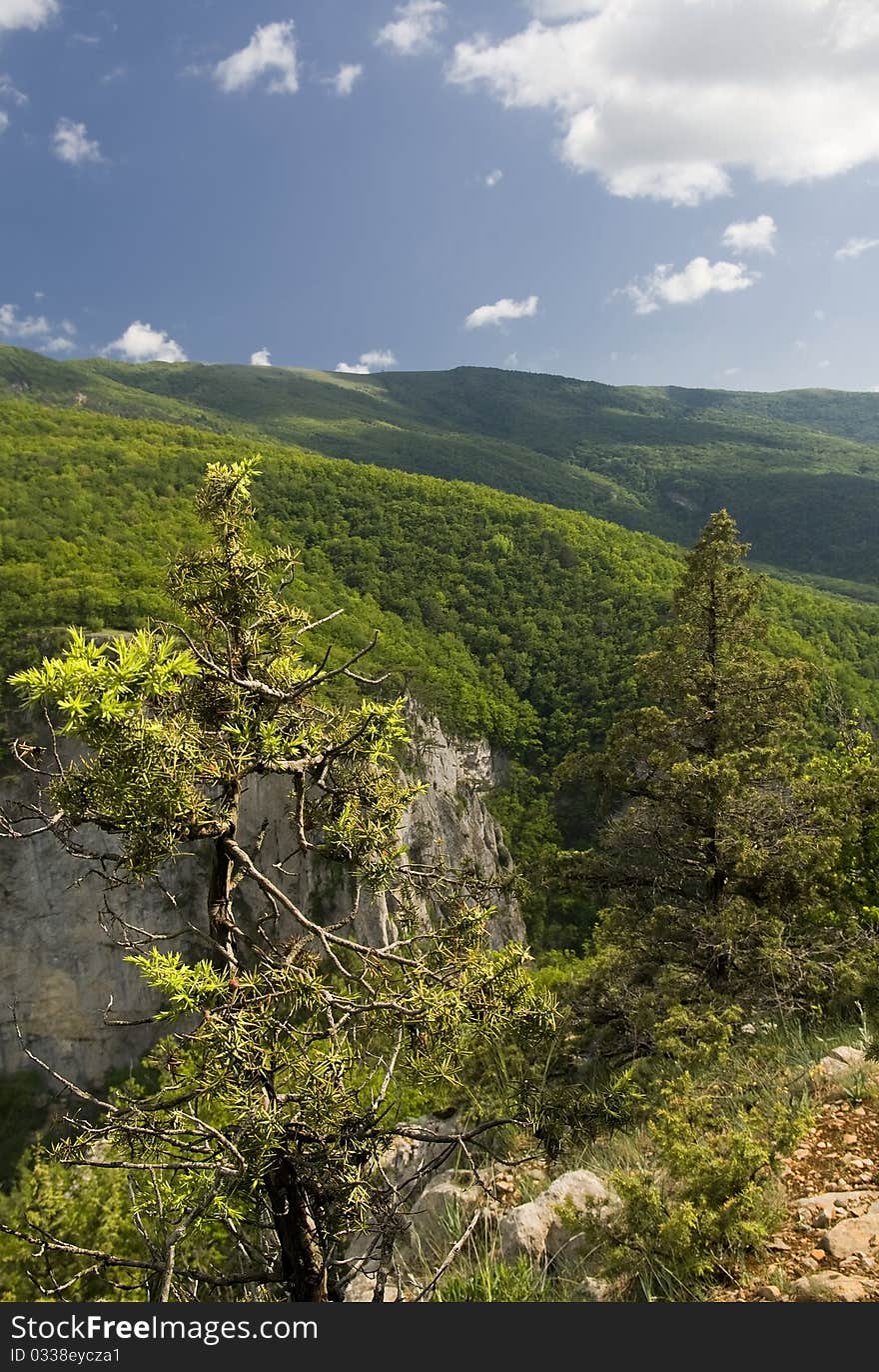 The Great canyon of Crimea top view