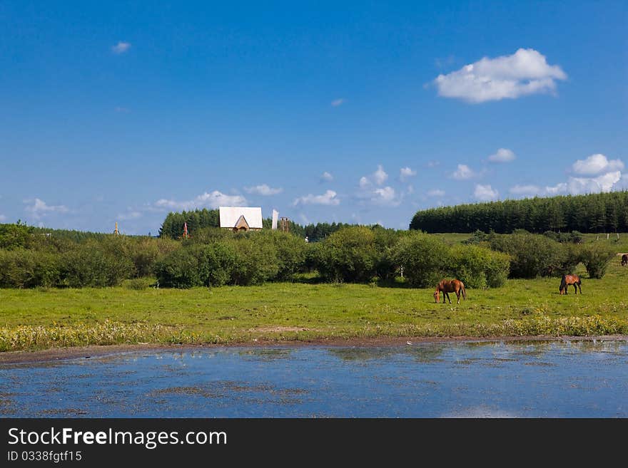 Landscape of grassland in Inner Mongolia