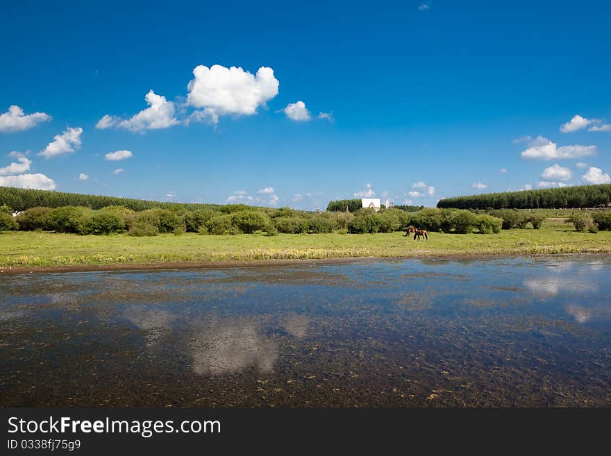 Beautiful landscape of grassland in Inner Mongolia