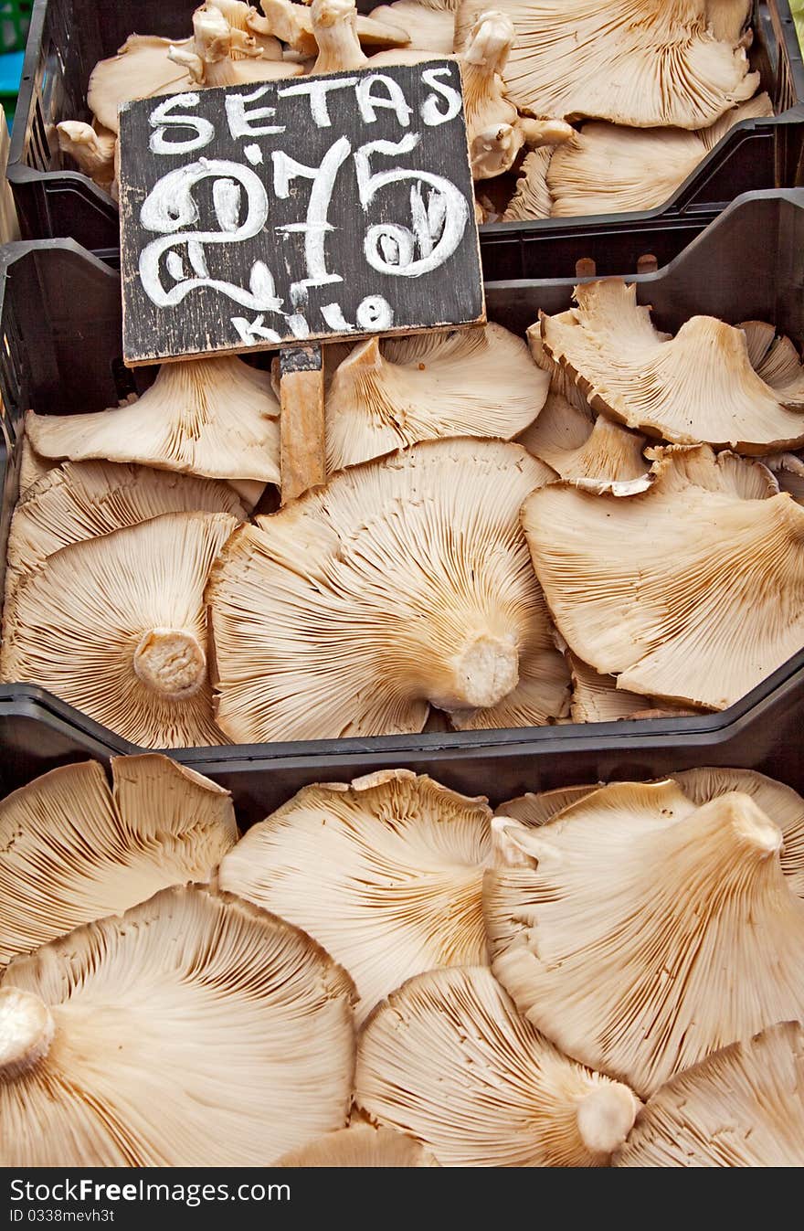 Fresh mashrooms for sale at the market. Fresh mashrooms for sale at the market