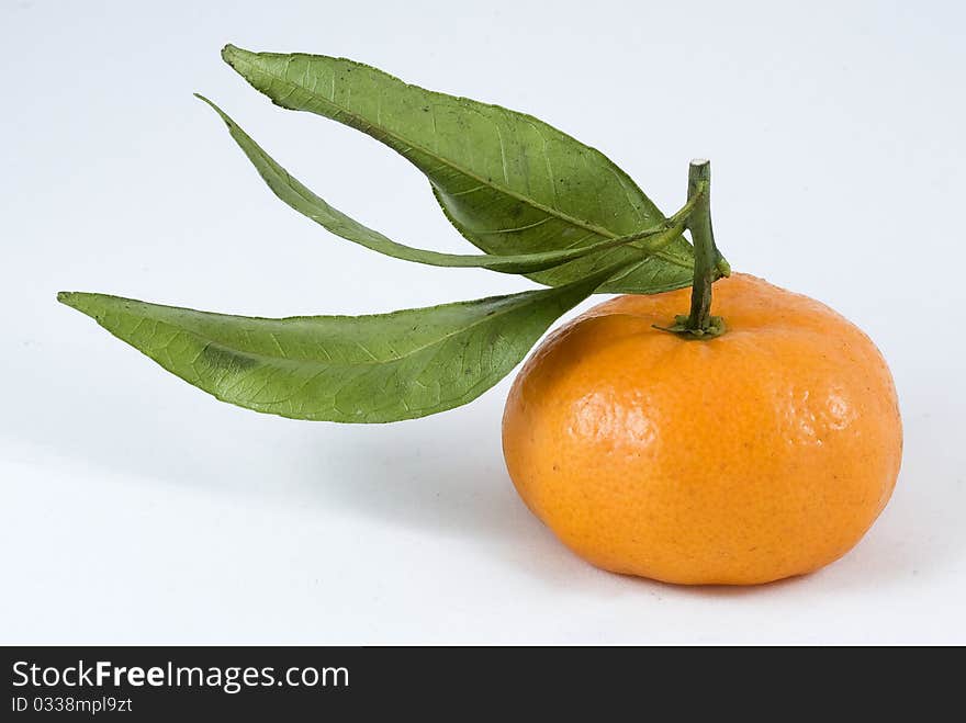 Orange fruit on white background