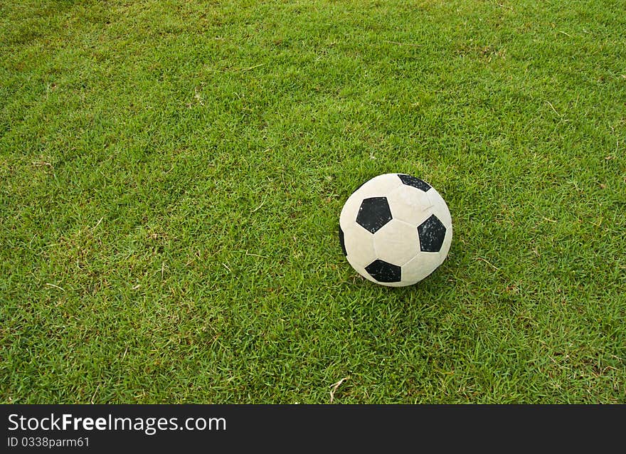 The old football on green grass