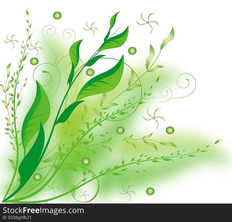 Illustration flower spring summer  green plant. Illustration flower spring summer  green plant