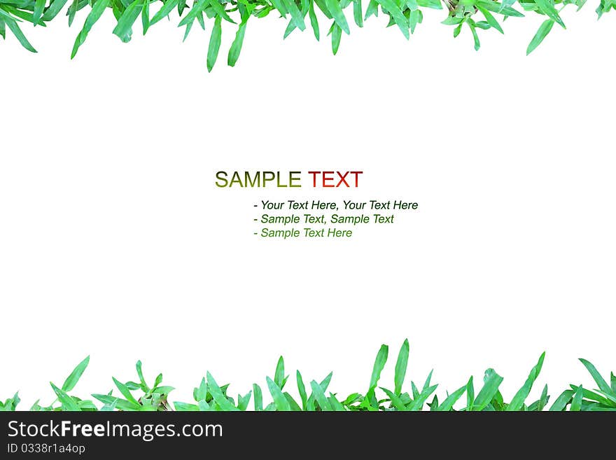 Nature grass frame on white background isolated style