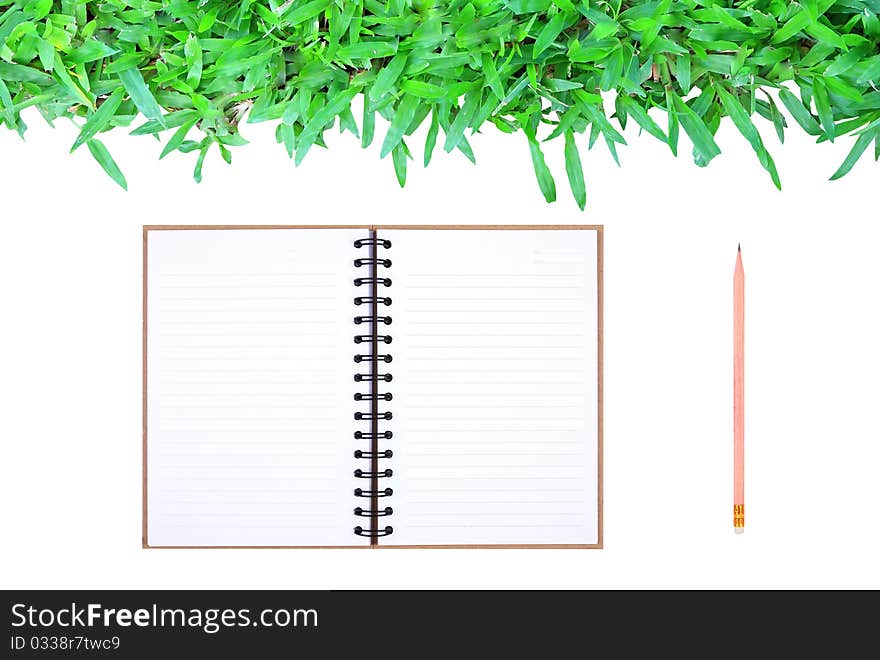 Grass frame on white background with book & pencil