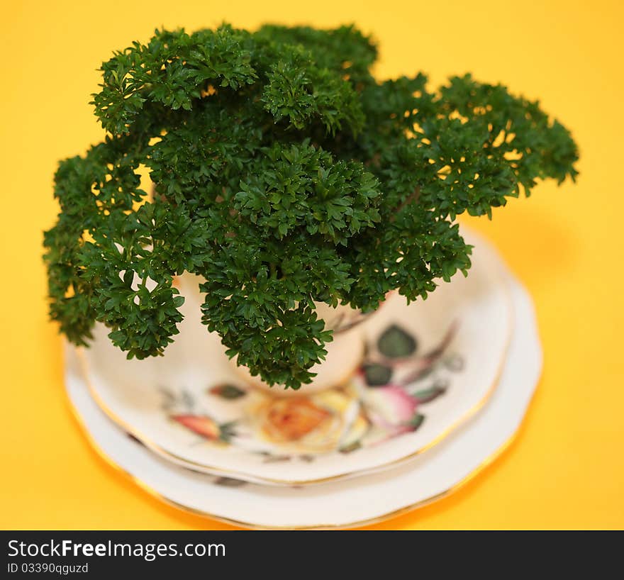 Parsley in a cup