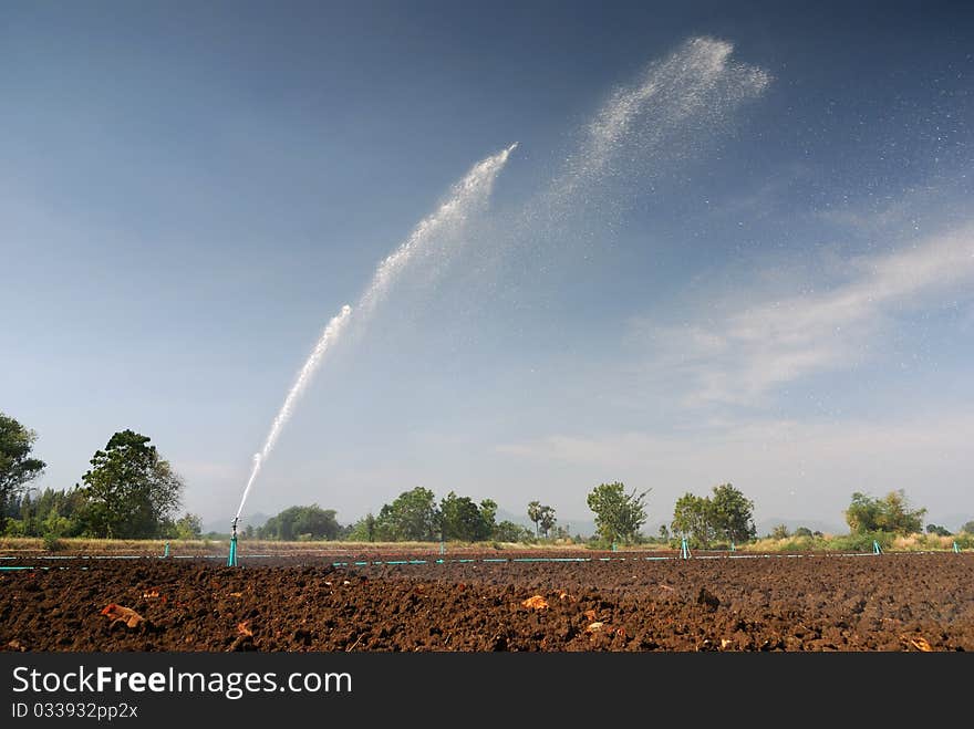 Irrigation Sprinkler