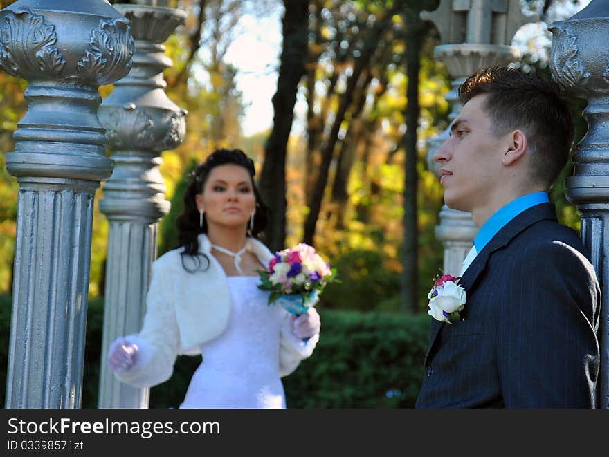 The bride and groom in a park in autumn. The bride and groom in a park in autumn