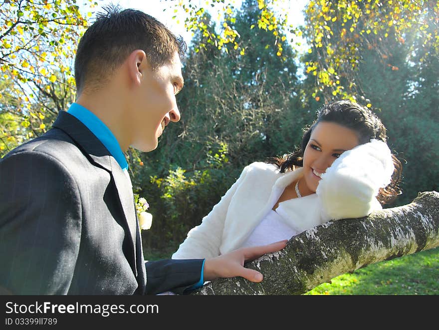 The bride and groom in a park in autumn. The bride and groom in a park in autumn